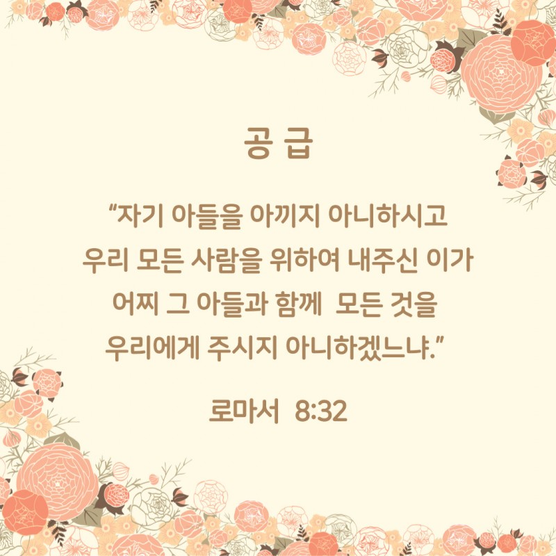 9eebbf1f6c6ab40377a39eea17ade4ea_1785554034_1223.jpg